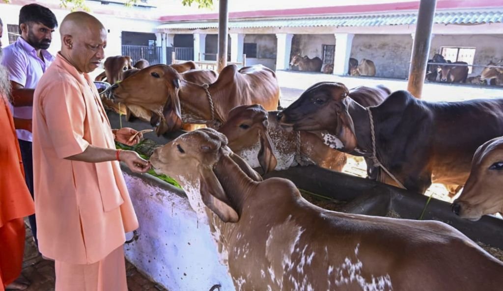 (फोटो: पीटीआई)
